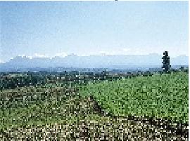 黑龙江省二九一农场