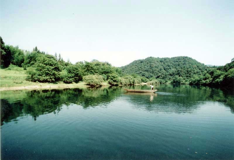 江西得雨活茶股份有限公司