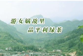 平利县女娲银峰茶叶有限公司