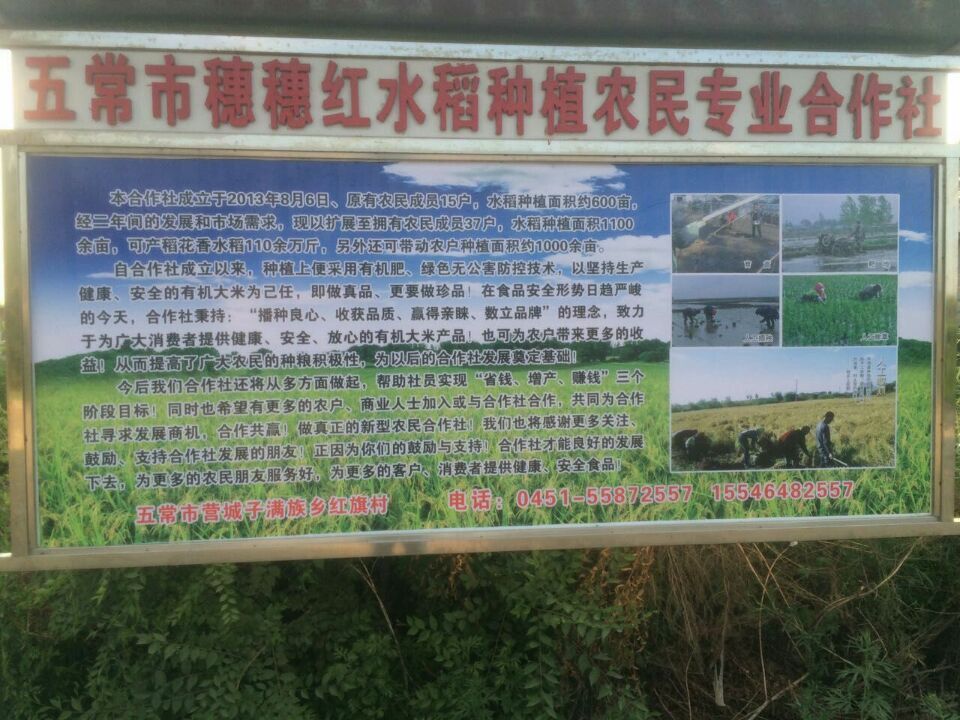 五常市穗穗红水稻种植农民专业合作社