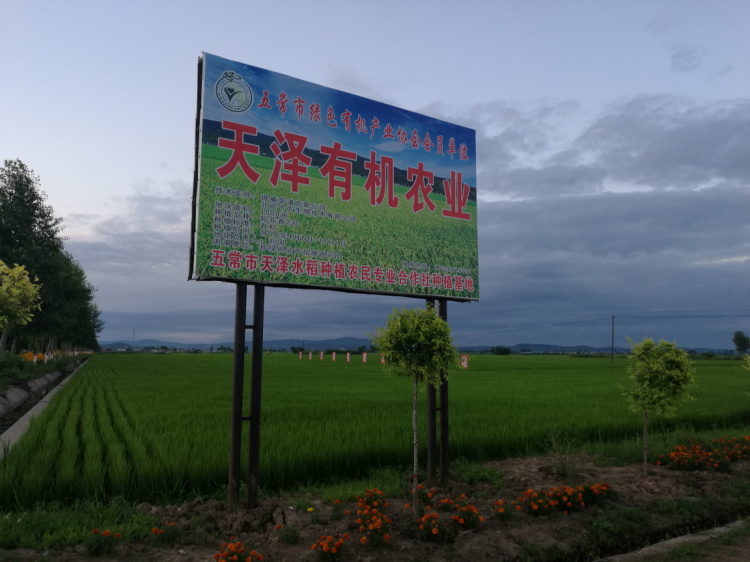 五常市天泽水稻种植农民专业合作社
