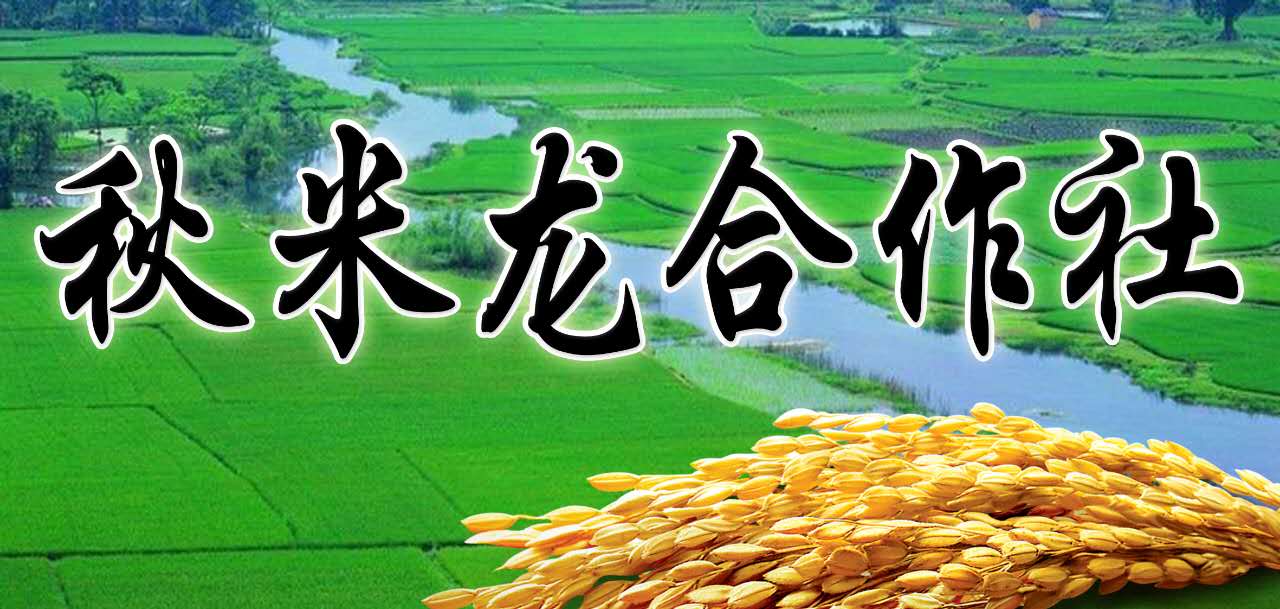 五常市秋米龙水稻种植专业合作社