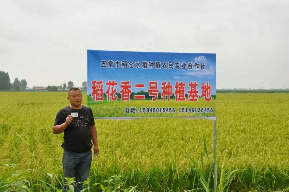 五常市稻仓水稻种植农民专业合作社