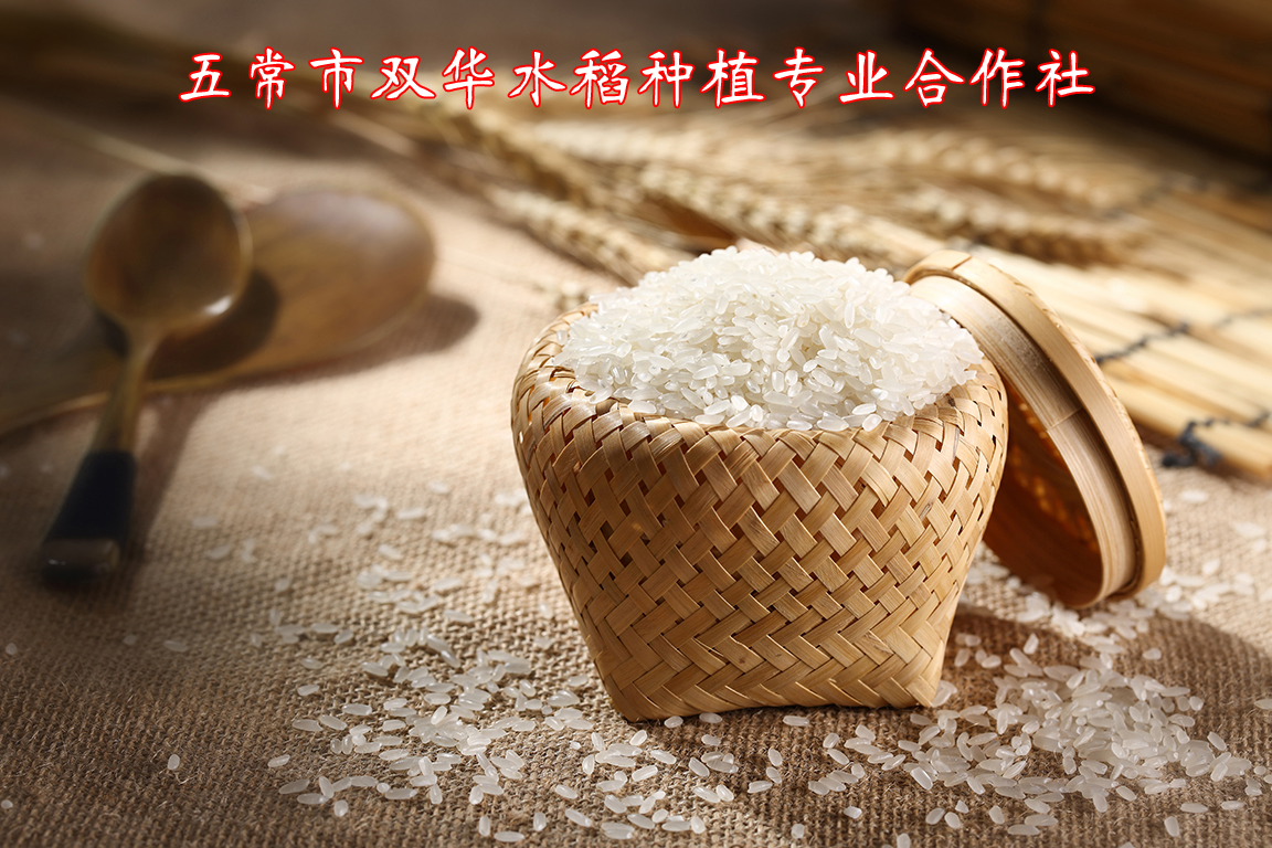 五常市双华水稻种植专业合作社