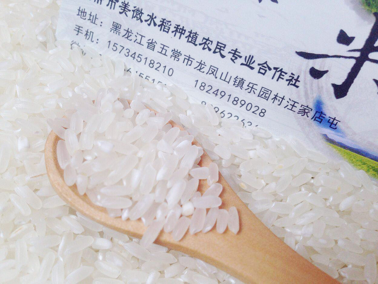 五常市美微水稻种植专业合作社