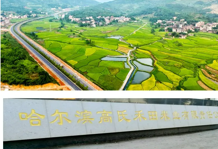 哈尔滨高氏禾田米业有限责任公司