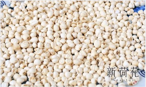 四川新荷花中药饮片股份有限公司