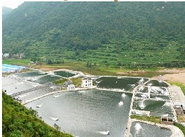 苍南县大宏水产养殖场