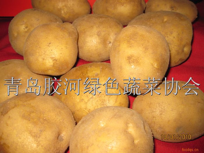 马铃薯