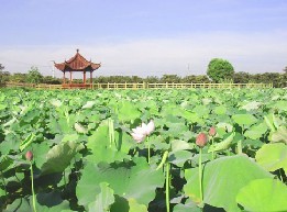 浙江杨墩生态休闲农庄有限公司