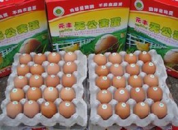 海城市东四方台温泉管理区元丰养鸡场