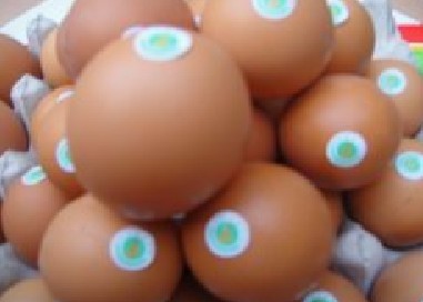 鸡蛋