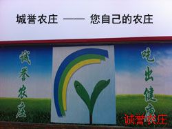 肃宁县诚誉果蔬种植专业合作社