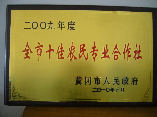 黄冈市黄州区幸福鱼苗孵化专业合作社