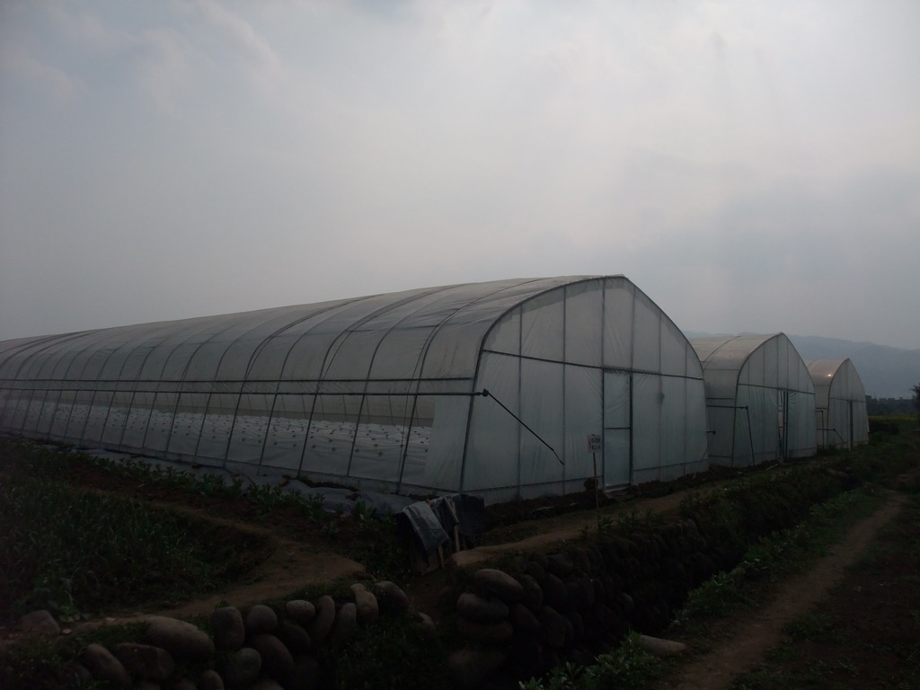 雅安市雨城区禾兴园蔬菜种植专业合作社