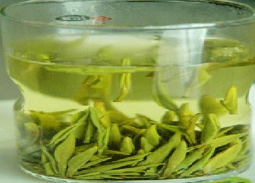 大叶绿茶