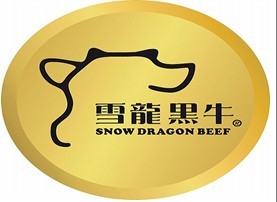 辽宁大连雪龙产业集团有限公司