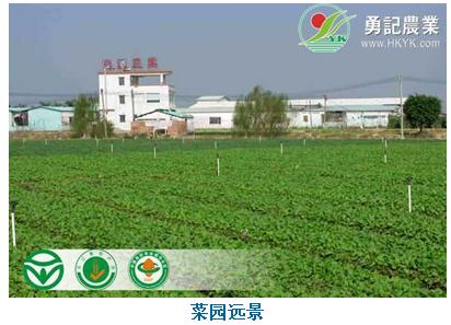 勇记农业开发（惠州）有限公司