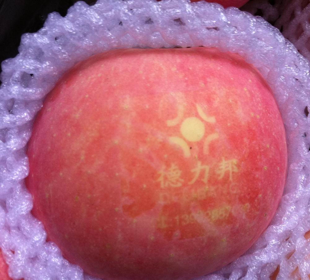 中熟绿色有机富士苹果