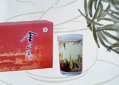 金山翠芽