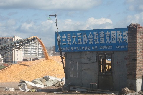 依兰大豆专业合作社