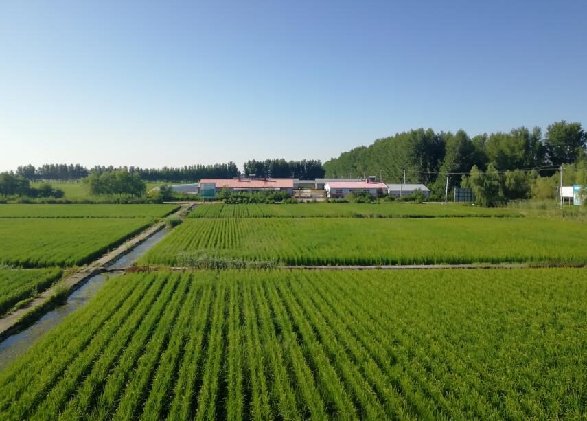 参谷有机富硒米1kg盒5盒箱